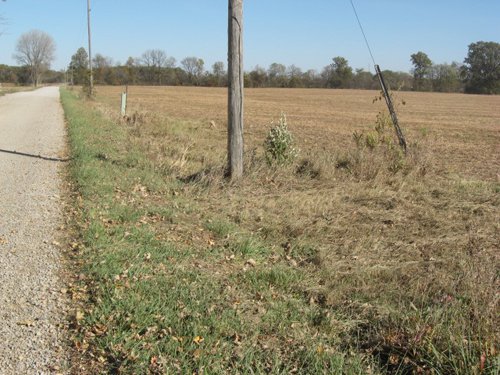 Property photo 20 - 110+/- Acres offered in 4 Tillable Tracts